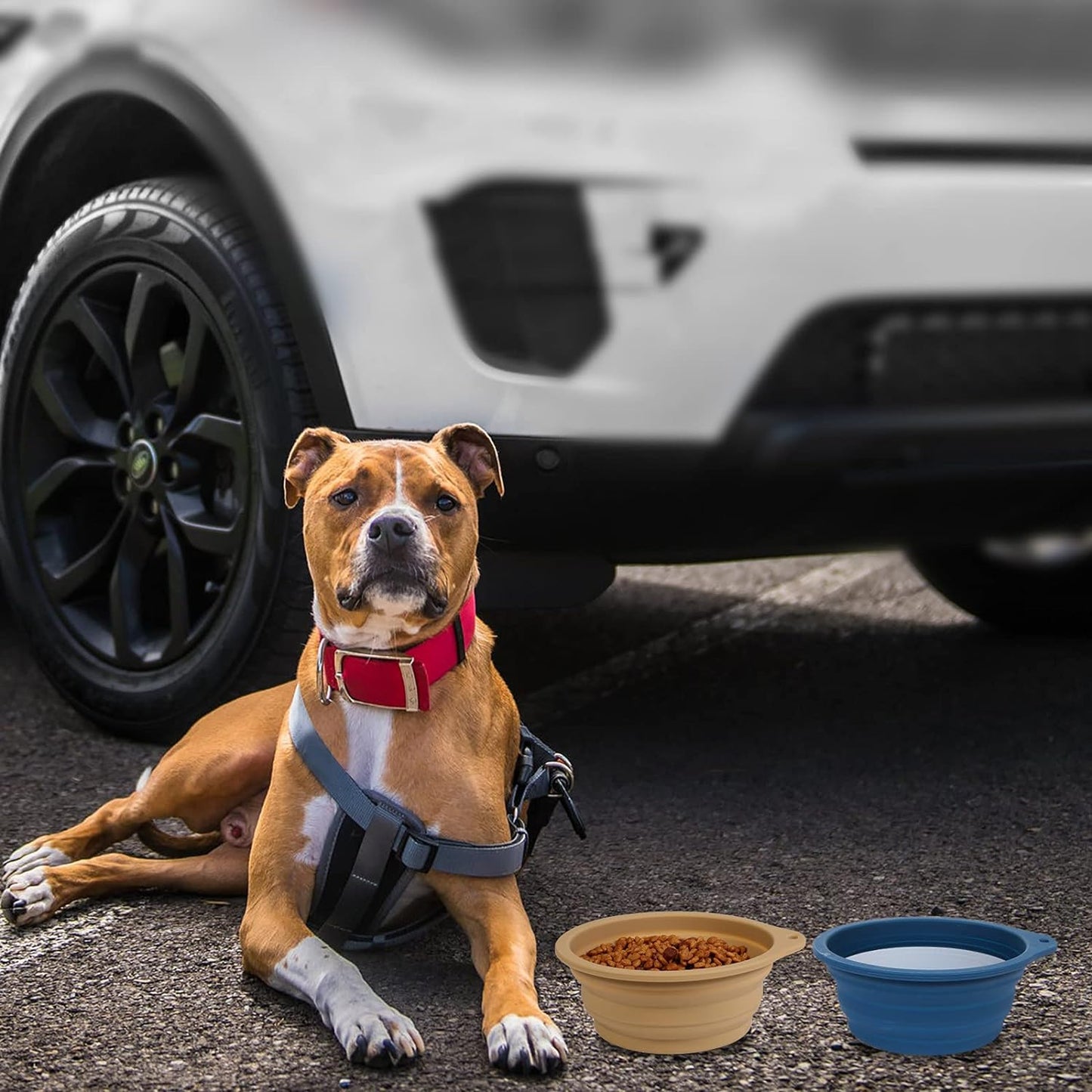 2Pack Collapsible Dog Bowl,Integrated Molding Travel Bowl No Plastic Rim Pet Feeding Bowls for Walking Traveling Outdoors,600Ml (Navy Blue+Khaki)